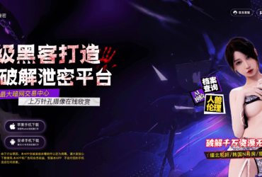 南京pos机一级代理公司！免费看三级片